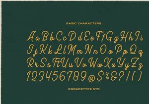 Meptora | Monoline Script
