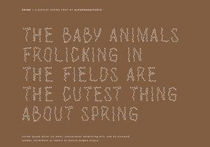 Shine - Decorative Display Font