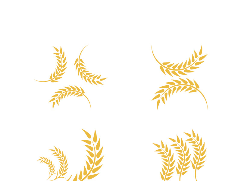 Wheat logo vector icon illustration design