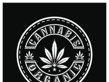 Mariuhana leaf symbol, marijuana or hemp icon, cannabis medical sign, weed drug vector illustration