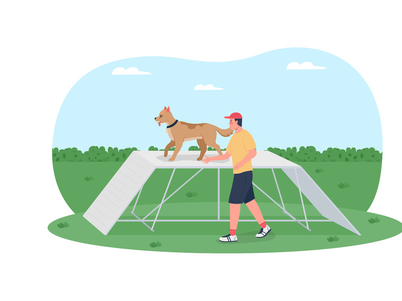 Dog training on obstacle course 2D vector web banner, poster