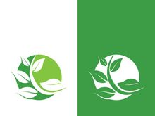 Green tree leaf nature logo images illustration design