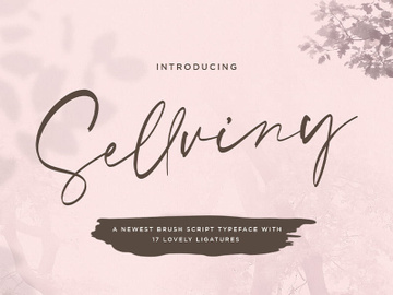 Sellviny - Handwritten Font preview picture