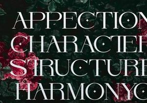 Orcars | Classic Serif Font