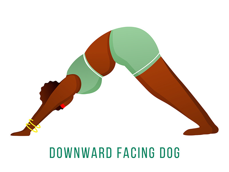 Downward facing dog pose flat vector illustration