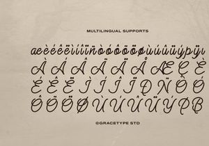 Alontima | Monoline Script