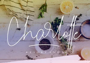 Carmelia - Modern Calligraphy Font