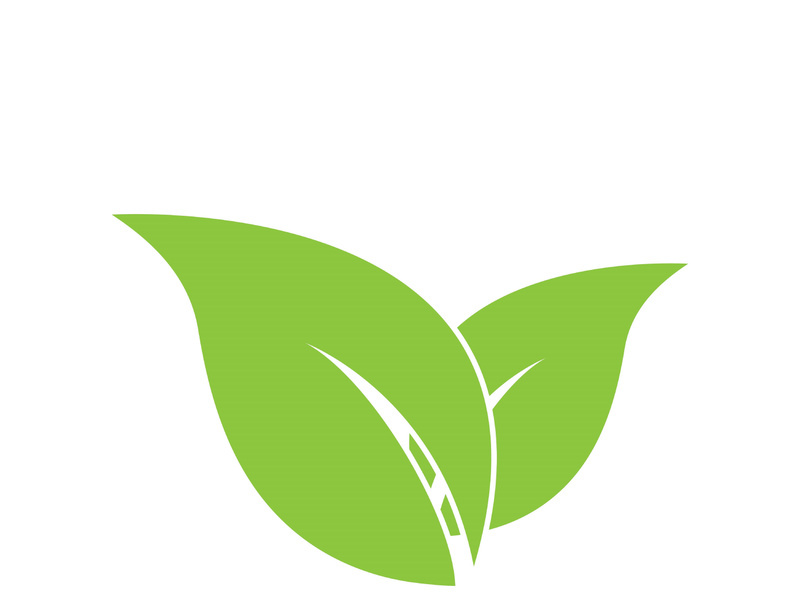 Leaf logo vector icon design template