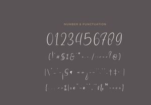 Metthyws Modern Script Font