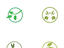 Branched olive fruit logo with creative idea.