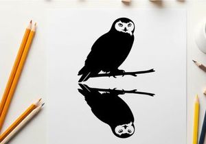 Silhouette of an owl perched on a branch with reflection