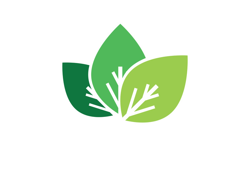 Nature leaf eco green logo icon