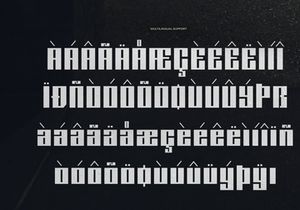 Doxy Bold | Display Geometric Sans