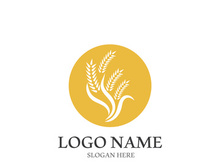 Wheat logo vector icon illustration design