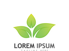 Natural green leaf logo design.