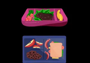 Lunch Box Illustration
