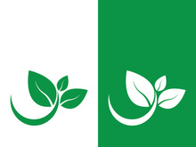 Logos of green tree leaf ecology nature element vector