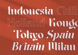 Braga Serif - Classic & Modern
