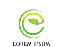 Natural green leaf logo.