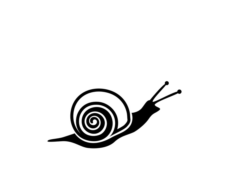 snail animal logo and symbol template