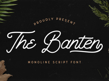 The Banten - Monoline Script Font preview picture