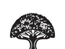 Root Leaf Family Tree of Life Oak Banyan Maple Stamp Seal Emblem Label logo design vector