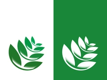 Logos of green tree leaf ecology nature element vector