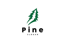 Pine Tree Logo, Luxurious Elegant Simple Design