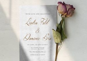 Del Lante | Elegant Calligraphy Script