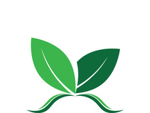 Green tree leaf nature logo images illustration design