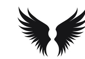 black bird wing logo vector