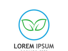 Colorful natural leaf logo design.