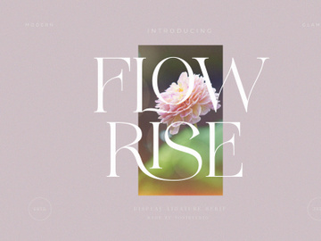 FLOWRISE || Display Ligature Serif preview picture