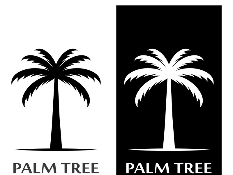 Palm tree summer logo design with creative ideas.