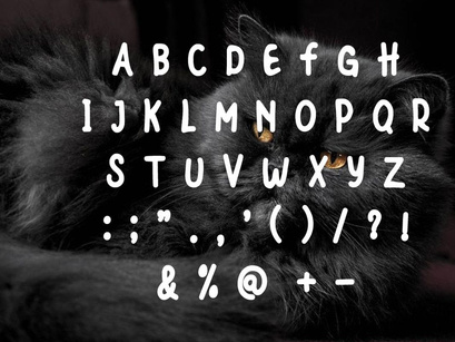 Black Cats