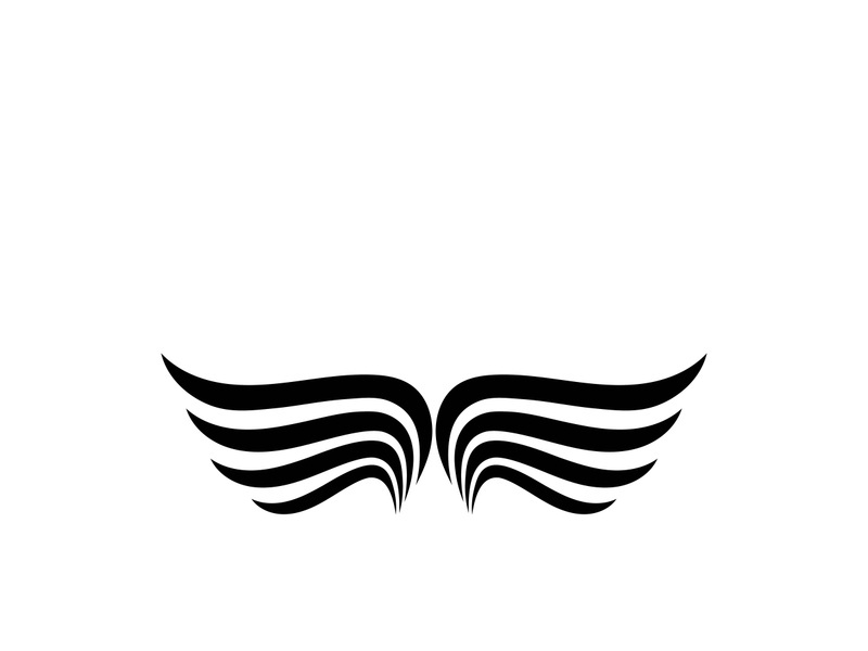 Wing illustration logo and symbol vector