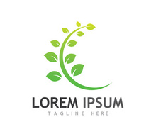 Natural green leaf logo.