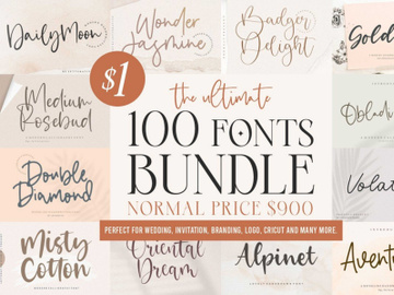 The Ultimate Font Bundle preview picture