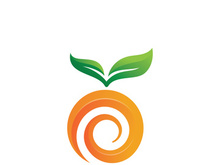 Orange Fresh Fruit Logo template. Vector illustration.