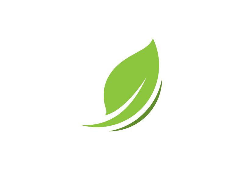 Green leaf logo  Nature icon design