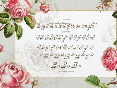 Hauliot Roisy | Handwritten Romantic Font