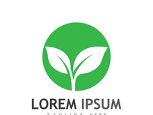 Natural green leaf logo design.