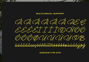 Cauloid | Monoline Script