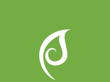 Leaf logo green nature vector image