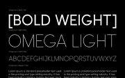 Omega Sans: A classic sans-serif font