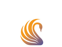 Swan logo Premium and symbol Vector