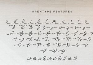 Barley - Monoline Calligraphy