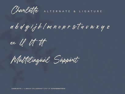 Charlotte - Brush Calligraphy Font