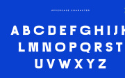 Grotesk Collective - Modern Sans Serif Font