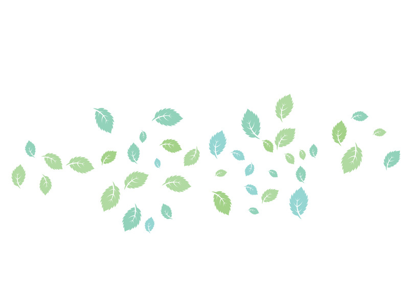 Mint Leaf icon template  illustration